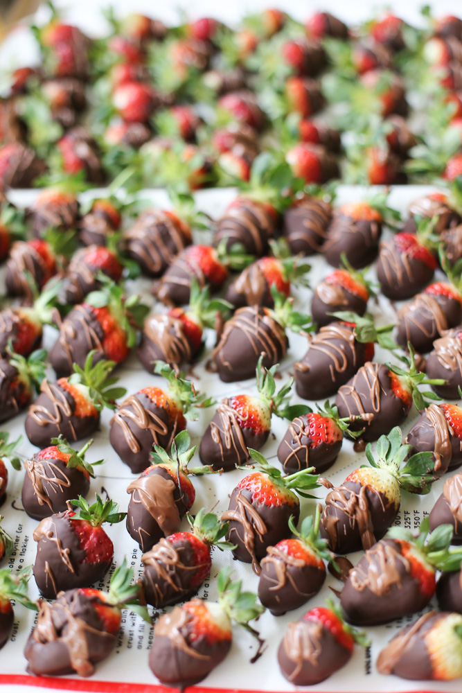 Tip 8 Choc Covered Strawberries Tovolo