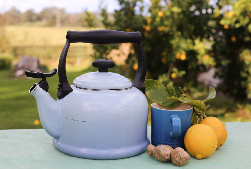 Kettle shot lemon and ginger healthy aqua base