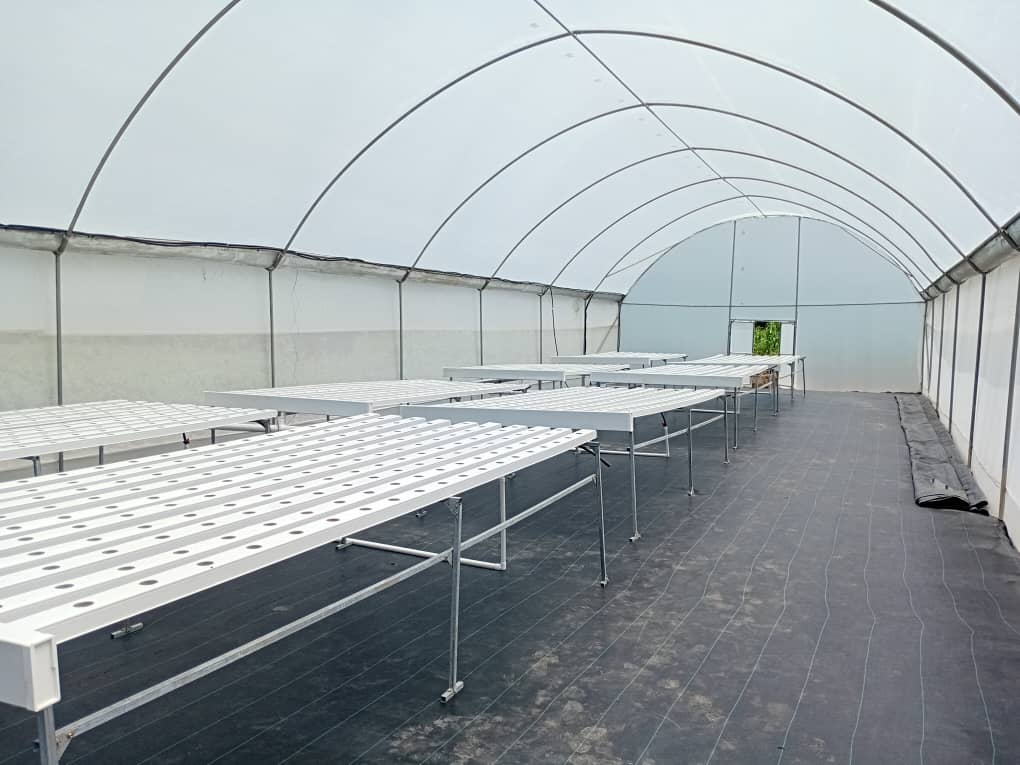Hydroponic NFT growing tables inside Bugesera greenhouse
