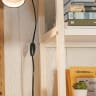 Ekenabben Shelf
