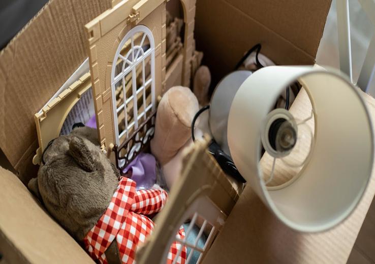 interior with diy kitten toys to keep them busy 2025
