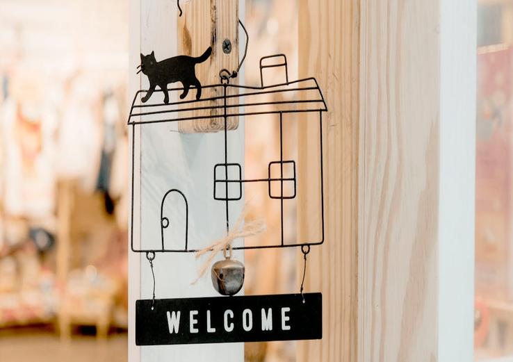 interior with signs your cat trusts you 2025