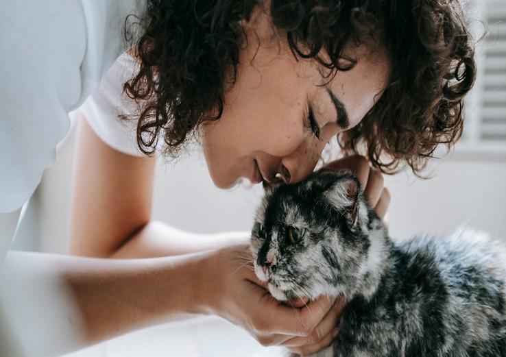 interior with why is my cat suddenly so affectionate 2025