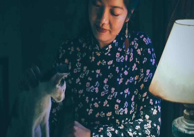 interior with how to calm down a hyper cat at night 2025