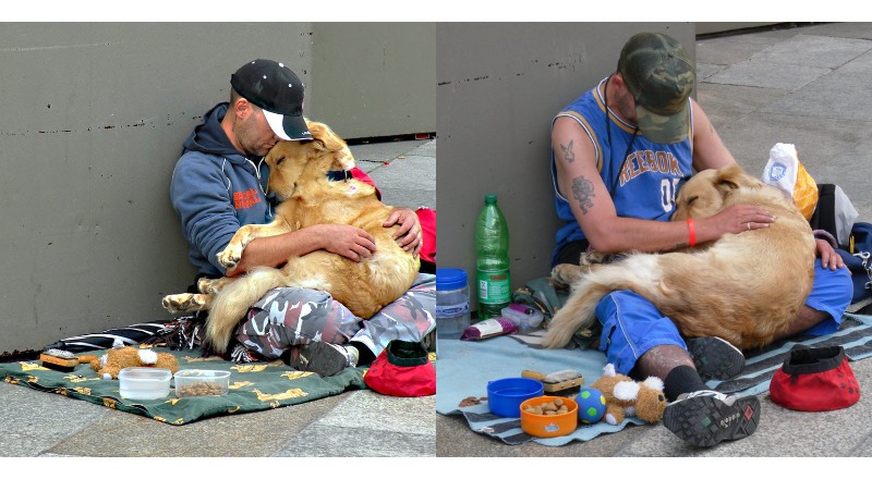 The Loyal and Devoted Dog Stands by Homeless Owner, Creating A Touching Moment To Millions Around The World