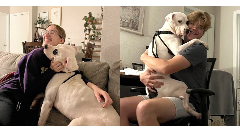 The longest shelter dog falls asleep smiling when he finally is recused by a loving family