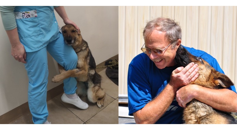 TN After enduring 550 days of solitude, Olaf, the dog, wrapped his paws around the shelter staff’s legs, imploring for a family to call his own. This poignant moment resonated profoundly with millions worldwide, ultimately guiding Olaf to a new, affectionate home where he rediscovered solace and companionship. ‎