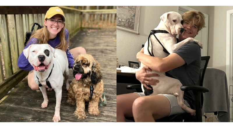 TN After over 500 days of waiting in the shelter, the adopted dog smiles and falls asleep in the arms of its new owner when he finally finds a loving family