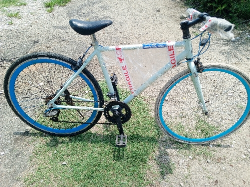 Road Sports Bicycle