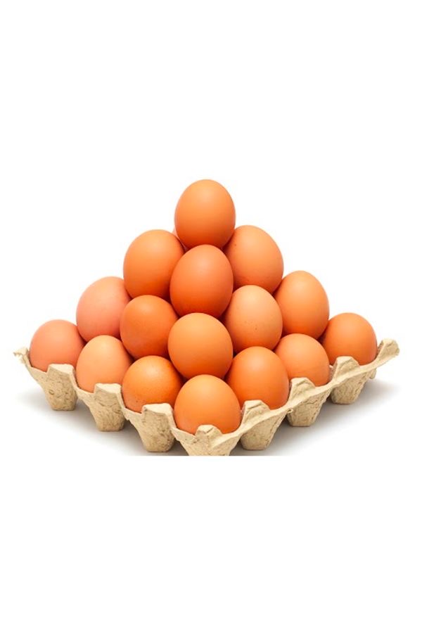 EGGS Amagi