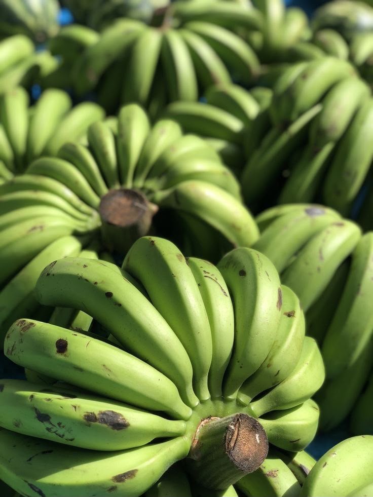 Banana plantain IGITOKI