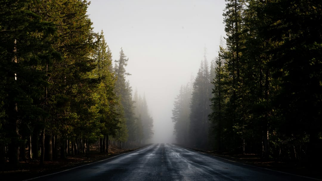 A two-lane highway through tall evergreens on a foggy, overcast day, the wet road empty ahead.
