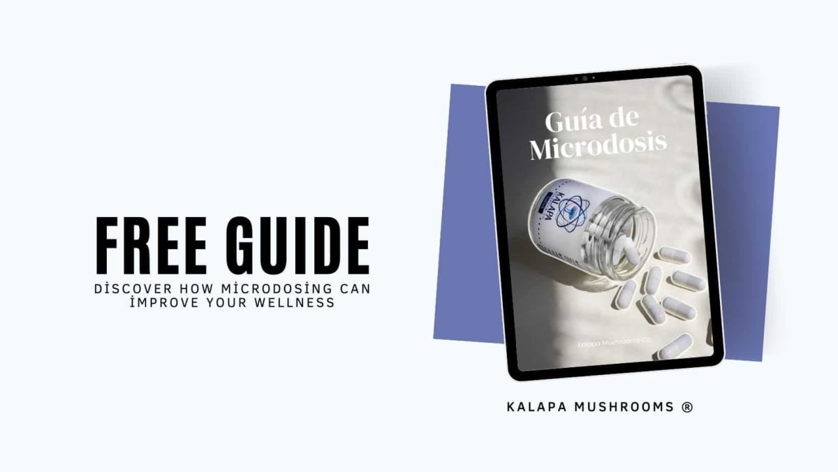 Guía de Microdosis de Kalapa Mushroom Co. en una tablet
