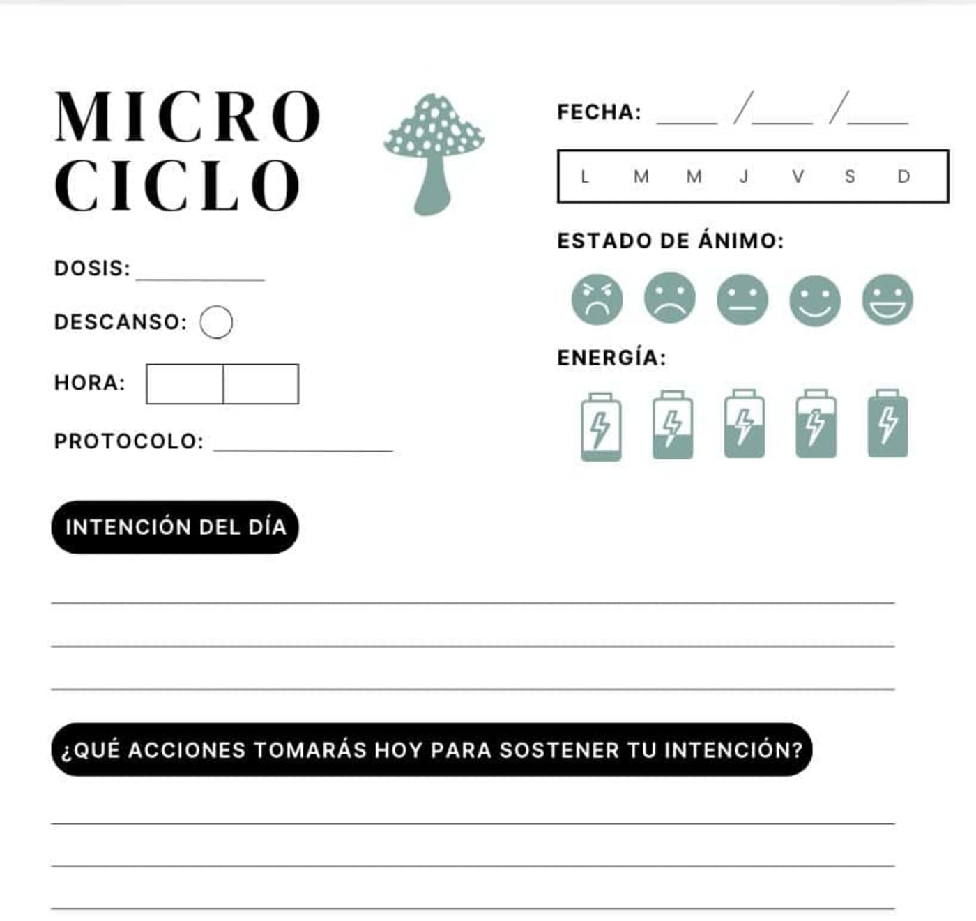 Página de registro de micro ciclo con dosis, ánimo y energía