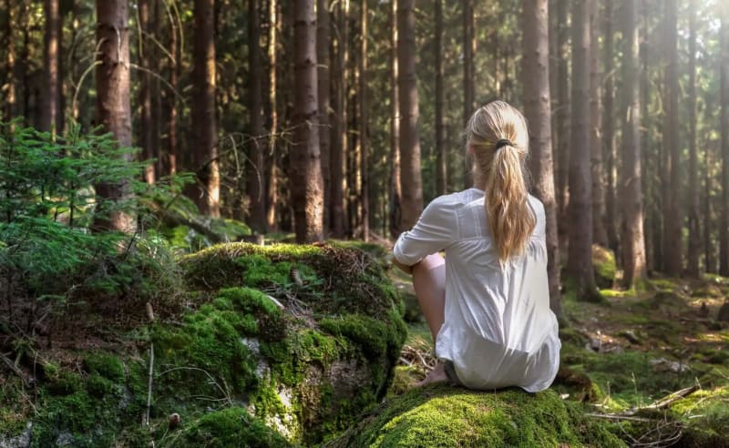La conexión entre naturaleza y consciencia: Lecciones del reino fungi