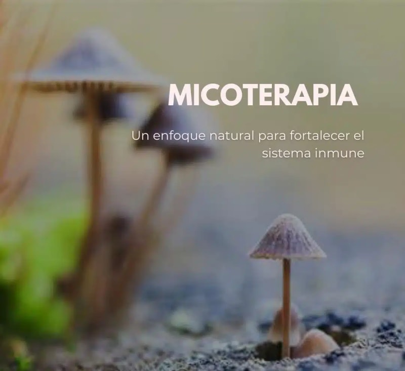 Micoterapia: Un enfoque natural para fortalecer el sistema inmune