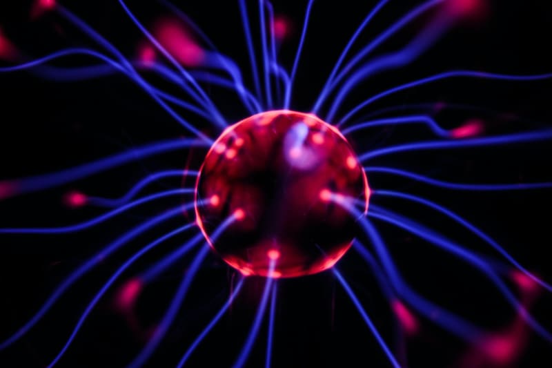 Micros y reacción cerebral