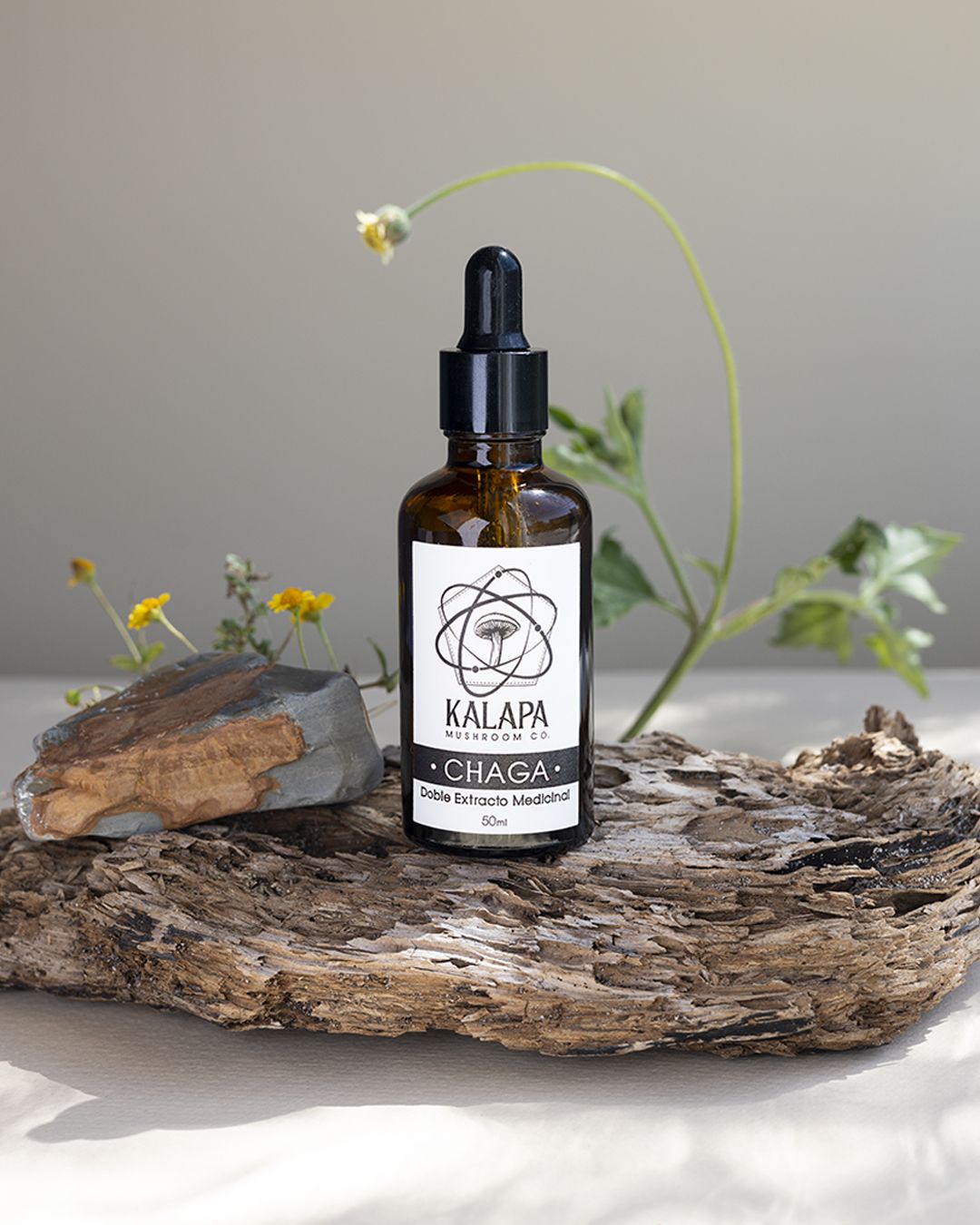 CHAGA Doble Extracto Medicinal