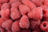 Bear Lake Raspberry Shakes