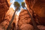 Bryce Canyon National Park