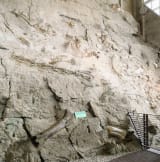 Dinosaur National Monument