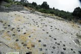 Dinosaur Ridge
