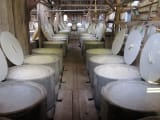 Graber Olive House