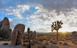 Joshua Tree National Park