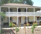 Leonis Adobe
