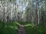 San Francisco Peaks
