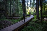 Trail of the Cedars