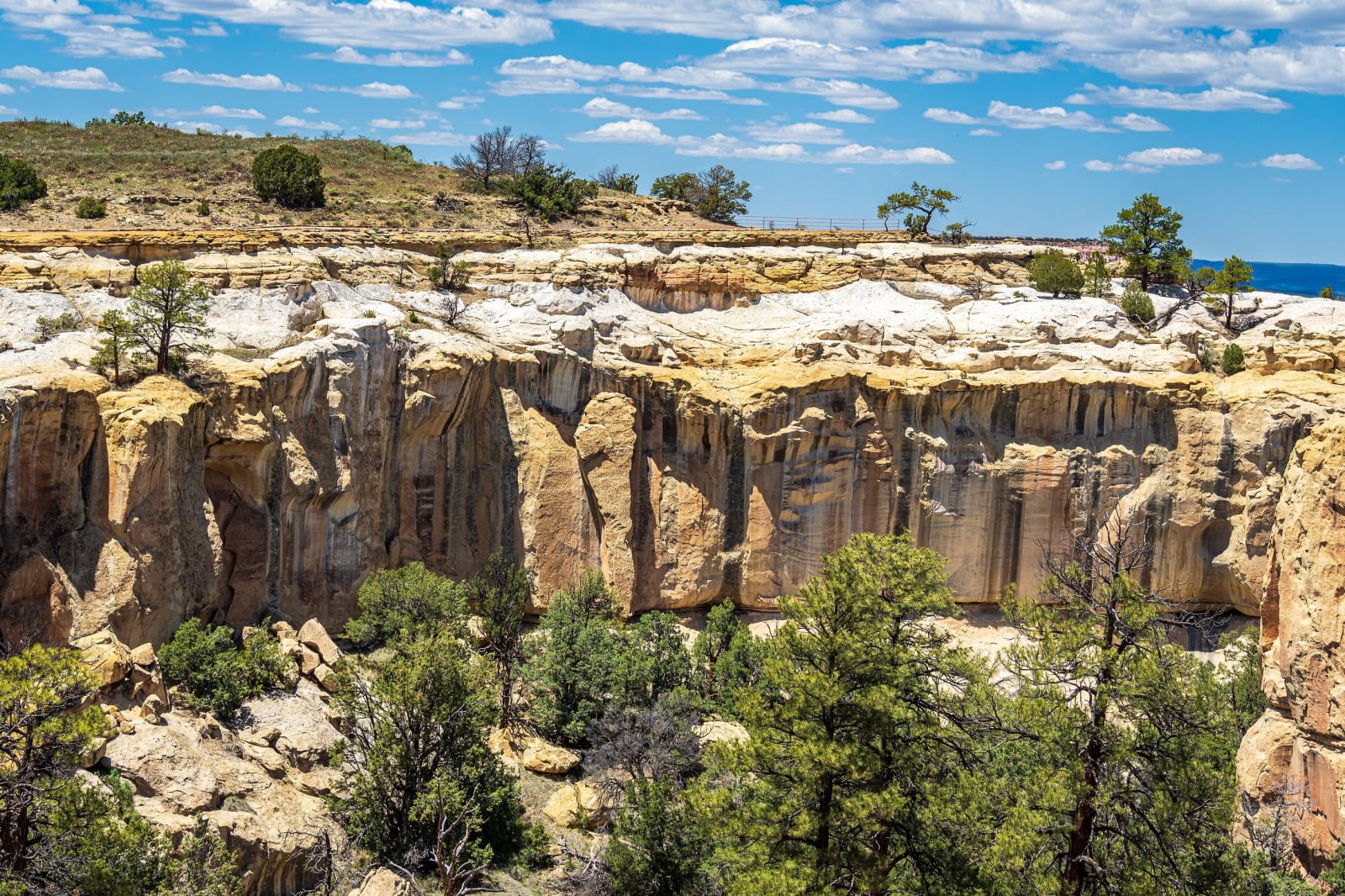 Pale sandstone cliffs of the box canyon at El Morro, seen from the mesa top among pinyon and juniper