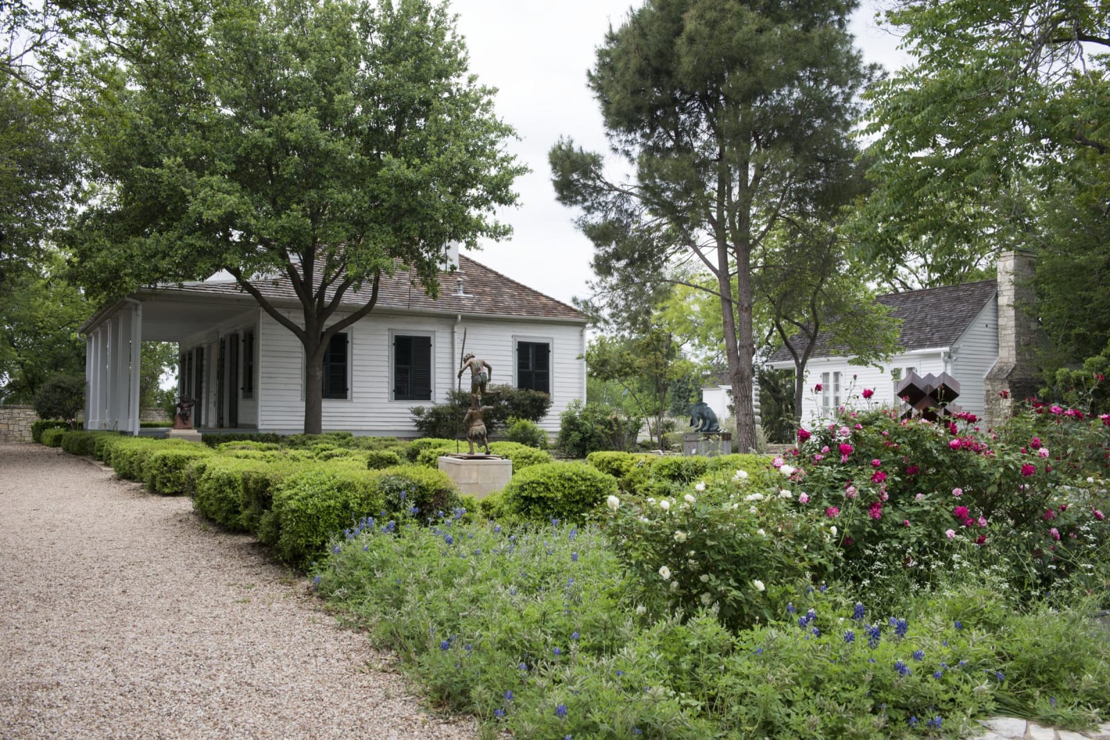 The white frame French Legation house in Austin seen across a garden of roses and clipped hedges on a gravel walk.