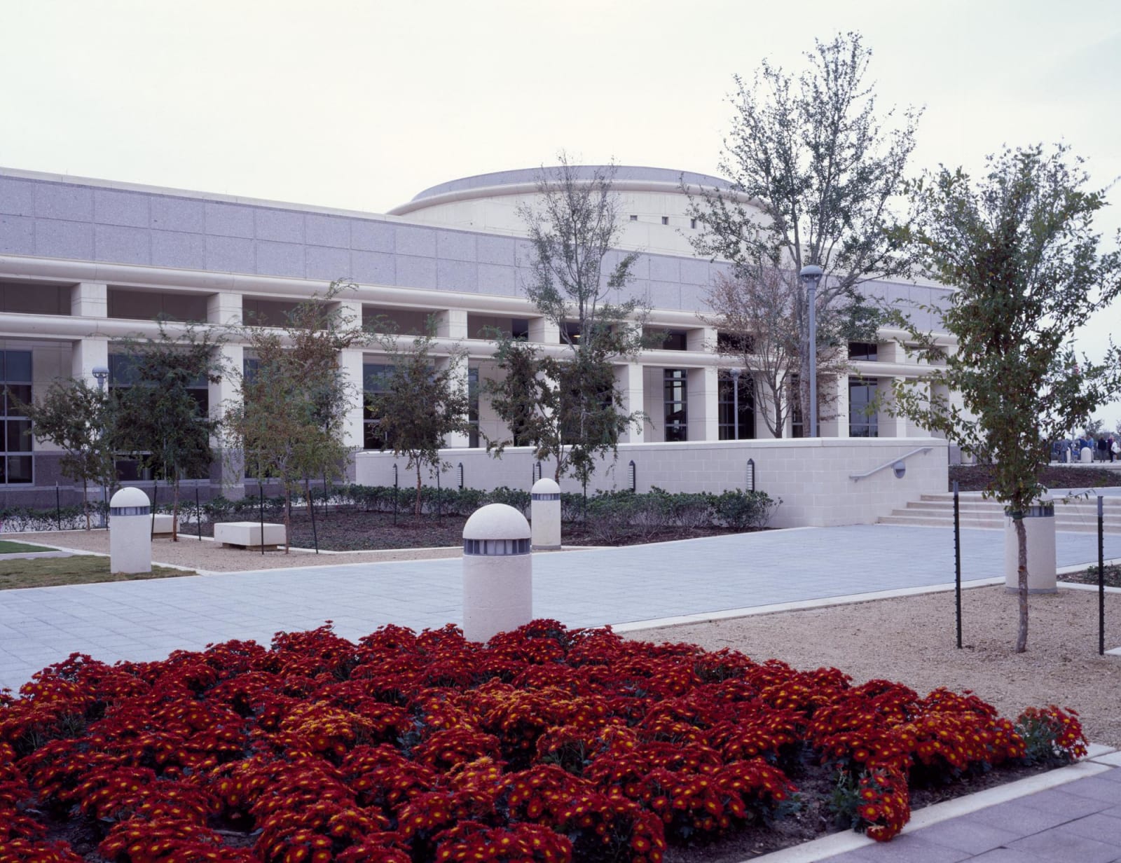 The long white colonnade of the George Bush Presidential Library and Museum at Texas A&M, behind a bed of red flowers.