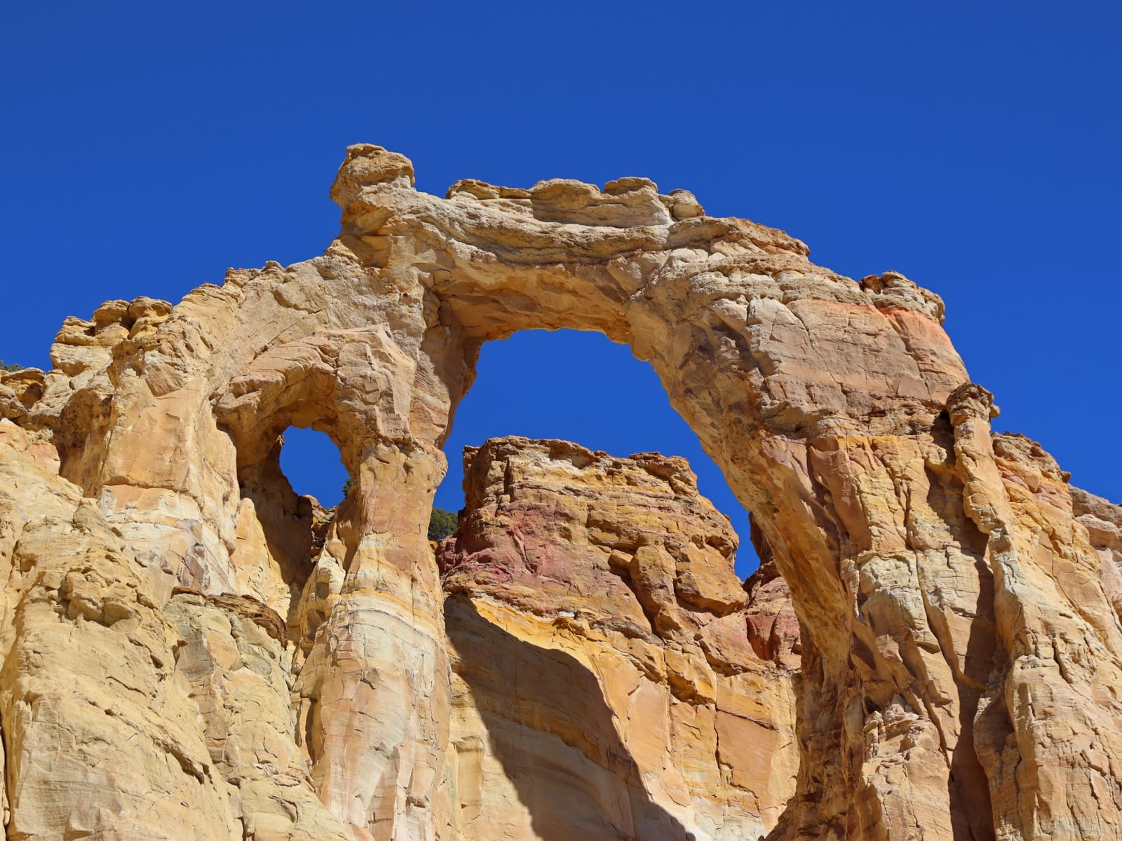 Grosvenor Arch seen from below — a tall cream and yellow sandstone buttress carrying two openings, the larger span arching high at centre-right and a smaller rounded window beside it at left with a shrub showing through. Grey and rust banding runs through the rock, a lower ledge of red-stained stone stands beneath, and the sky behind is a cloudless deep blue.