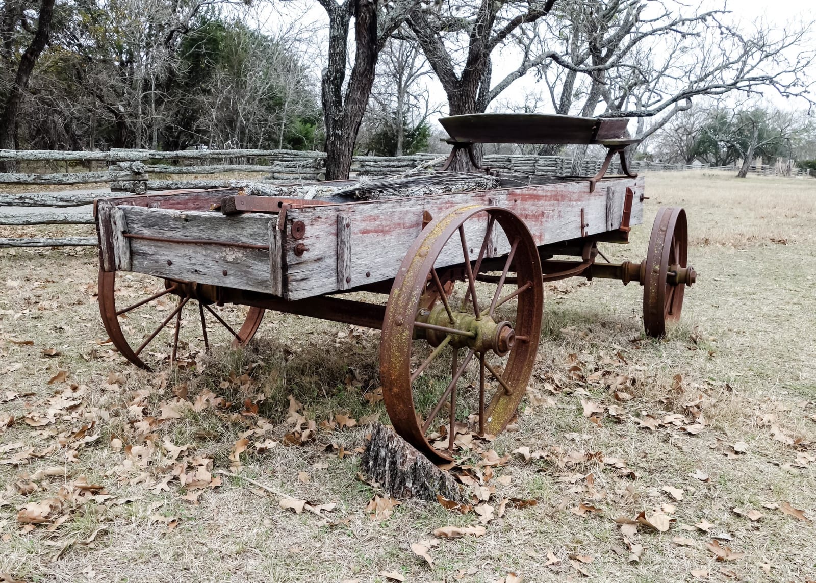 A weathered wooden farm wagon with iron-rimmed wheels standing on fallen leaves by a split-rail fence at the Sauer-Beckmann farm.