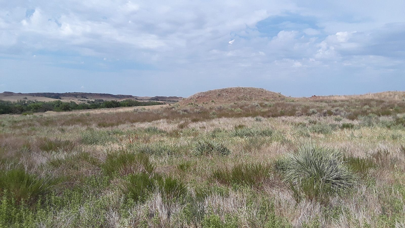 Grassland and low hills around the Washita battlefield in Roger Mills County.