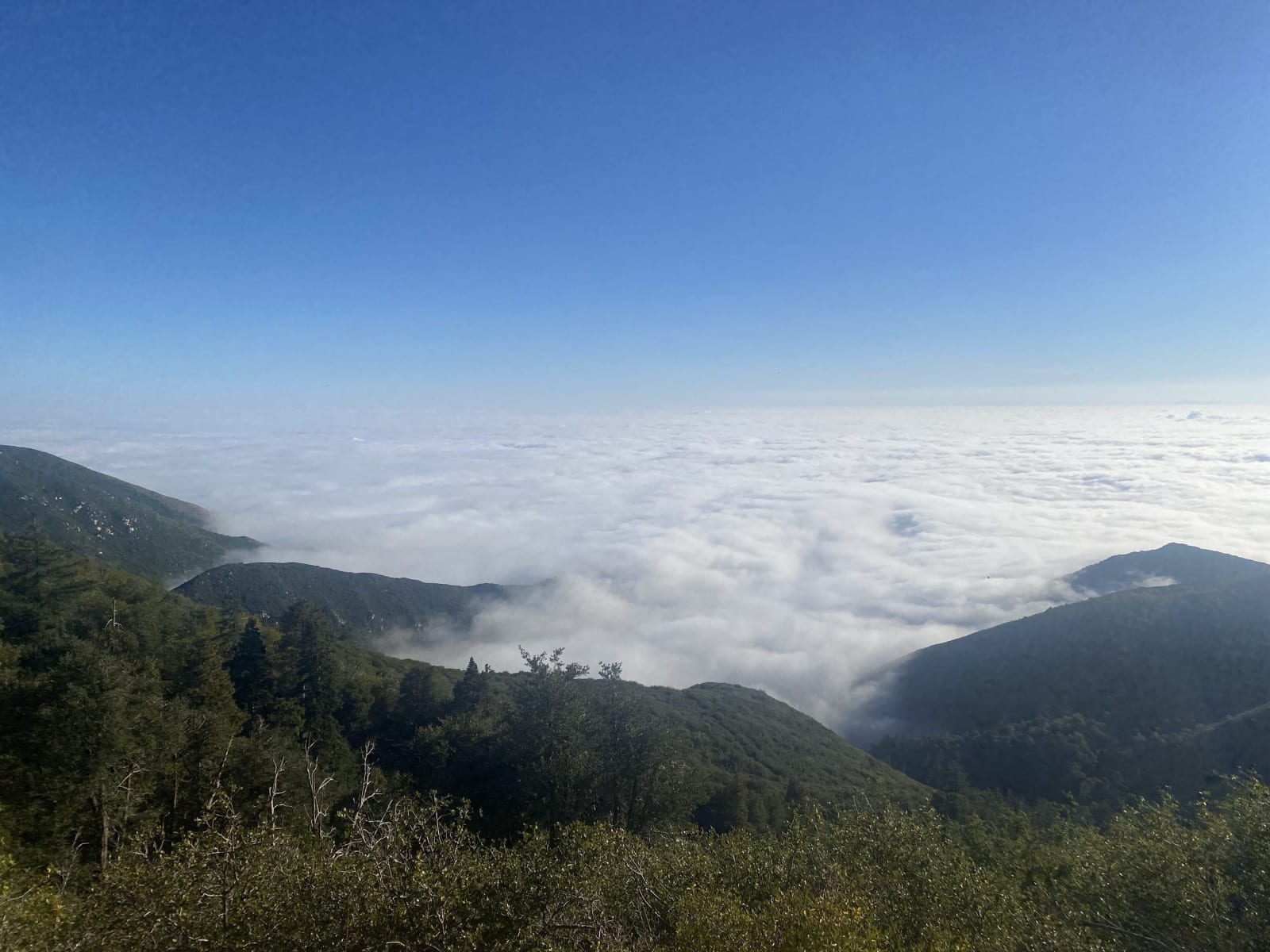 The San Bernardino Mountains crest above the valley, forested ridges dropping away to a floor buried under cloud.