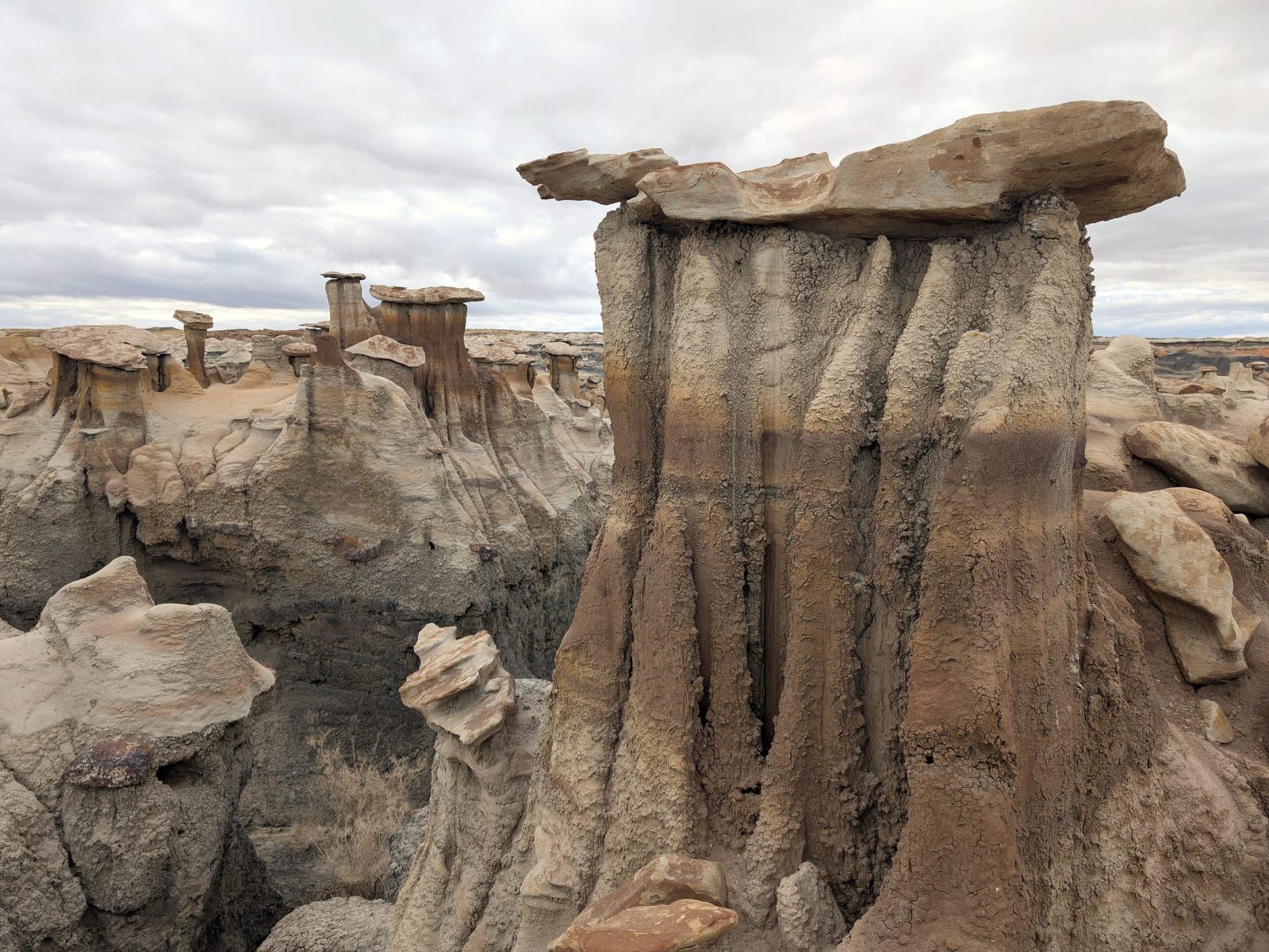 A capped hoodoo of banded Kirtland Formation rock among the eroded badlands of the Bisti/De-Na-Zin Wilderness