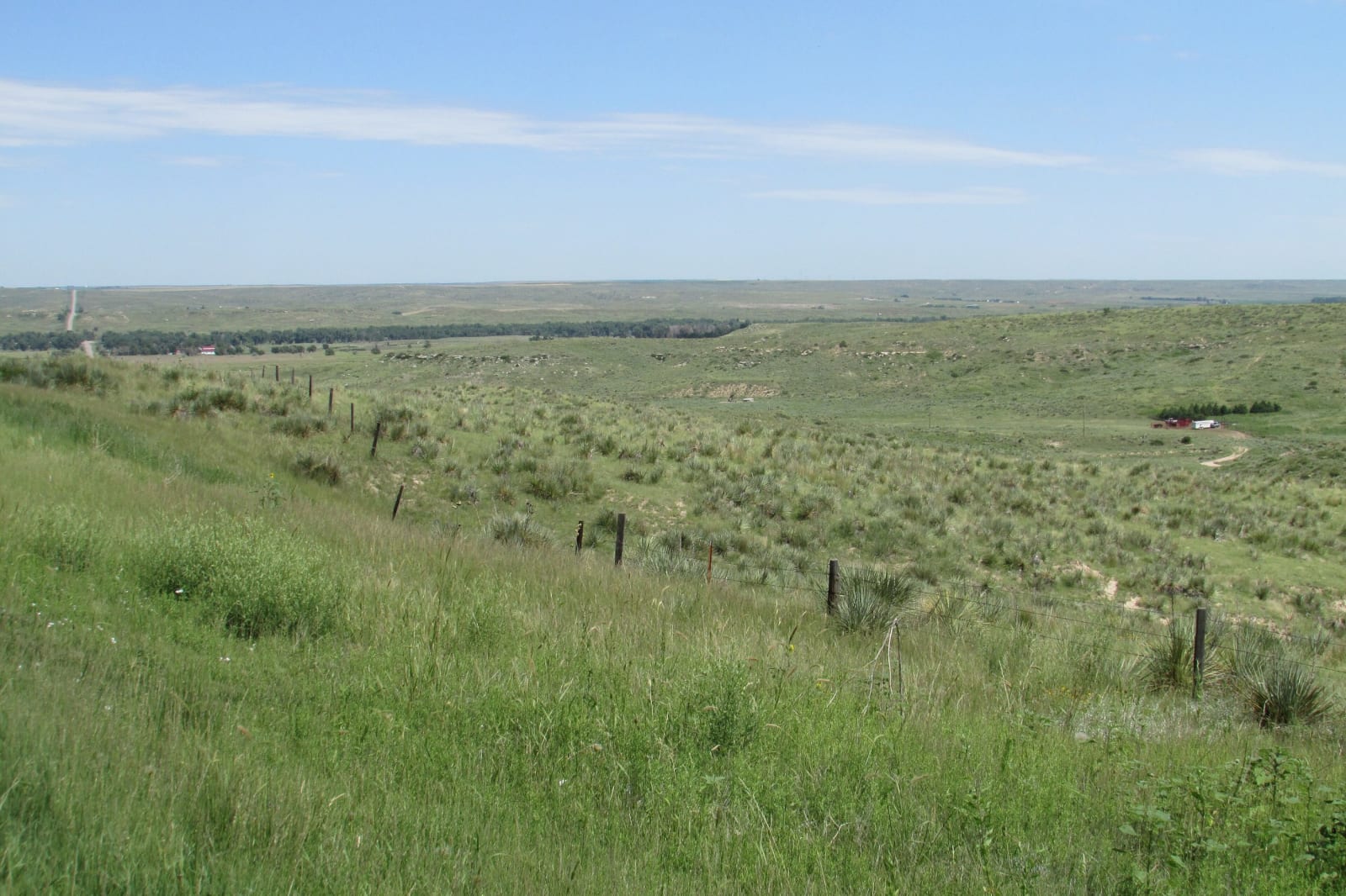 Rolling grassland and scattered cottonwoods in the Arikaree River valley on Colorado's northeastern plains