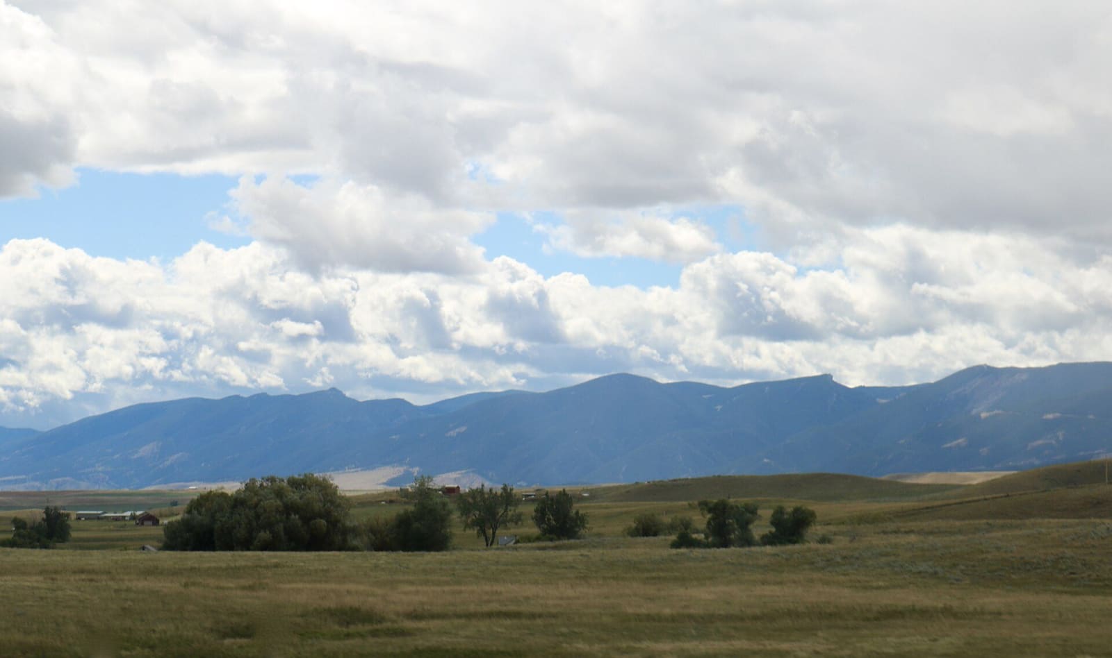 The blue wall of the Bighorn Mountains rising above rolling grassland and clumps of trees under heavy clouds
