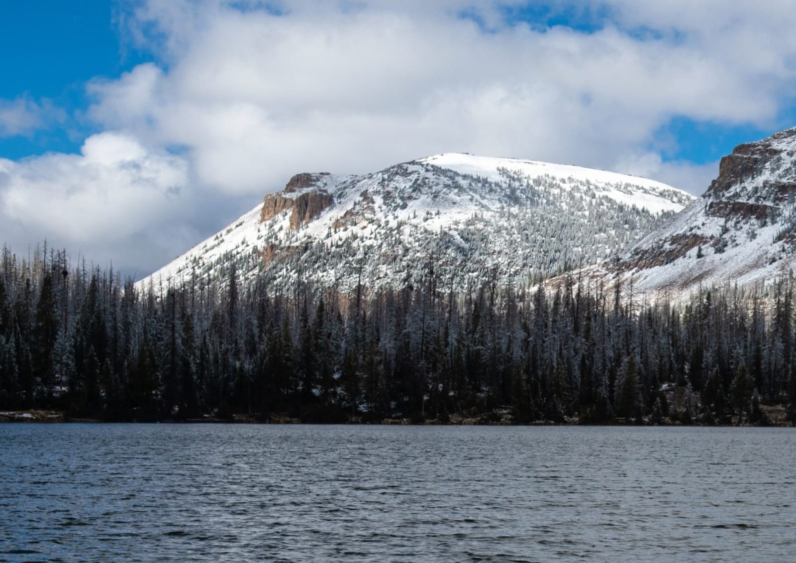 An alpine lake high on the Mirror Lake Highway, dark water running choppy across the foreground to a far shore packed with spruce and fir under fresh snow. Behind the trees a broad ridge rises, its snow broken by bands of brown rock and a low cliff face, with tall white cumulus standing over it in a blue sky. The highway itself is not in the frame.