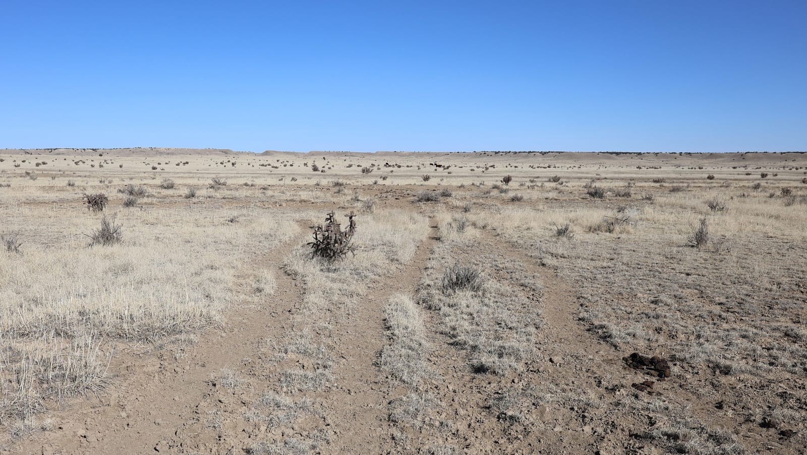 Twin wagon ruts of the Santa Fe Trail's Mountain Route near Iron Spring, two worn tracks of bare dirt running away from the camera across flat, pale shortgrass prairie dotted with low shrubs, to a level horizon under a cloudless blue sky.