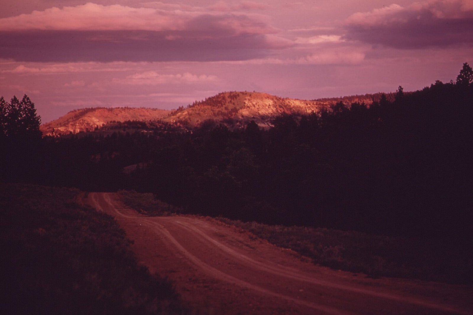 Pine-covered ridges and pale sandstone buttes catching the last light on the Northern Cheyenne Reservation in June 1973, a dirt track curving through the foreground