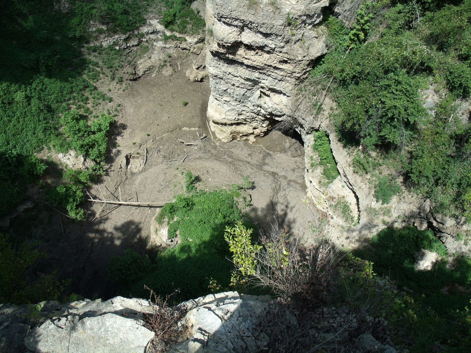 The steep limestone walls and wooded floor of Grand Gulf, a collapsed cave system.