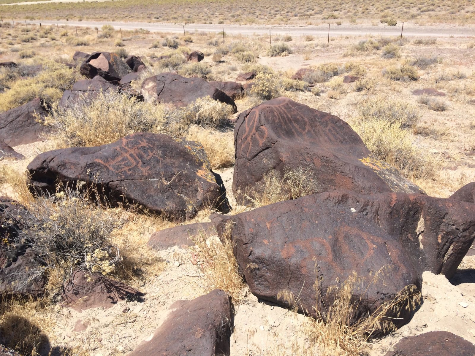 The open floor of the Lahontan Valley near Fallon, Nevada — the basin left behind by Ice Age Lake Lahontan.