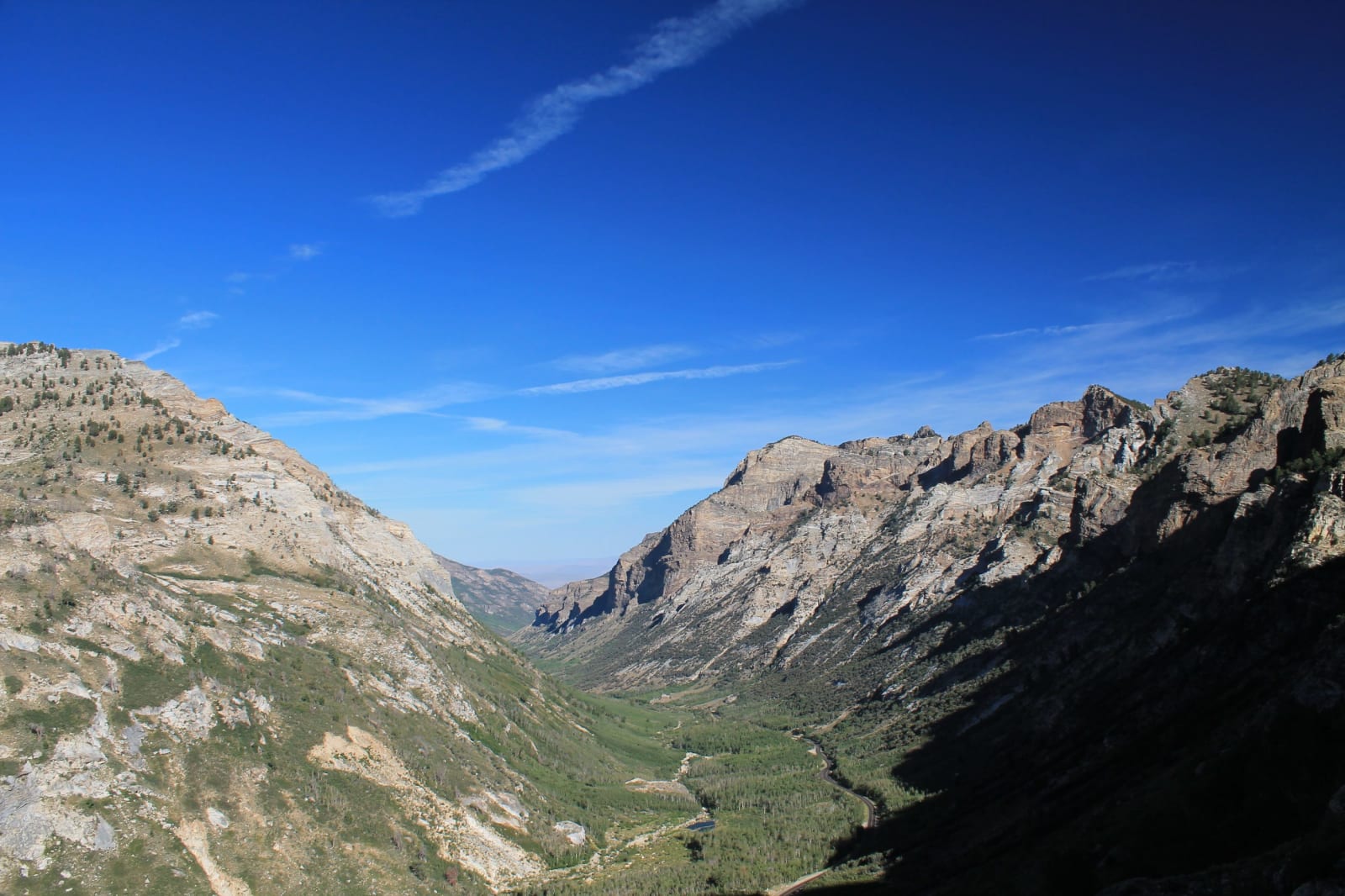 Lamoille Canyon in the Ruby Mountains of northeastern Nevada, a broad U-shaped glacial trough seen from high on its rim — pale rock walls falling steeply on both sides, the right-hand wall in deep shadow, and a green valley floor of aspen and conifer with the canyon road and a small pond running along it.