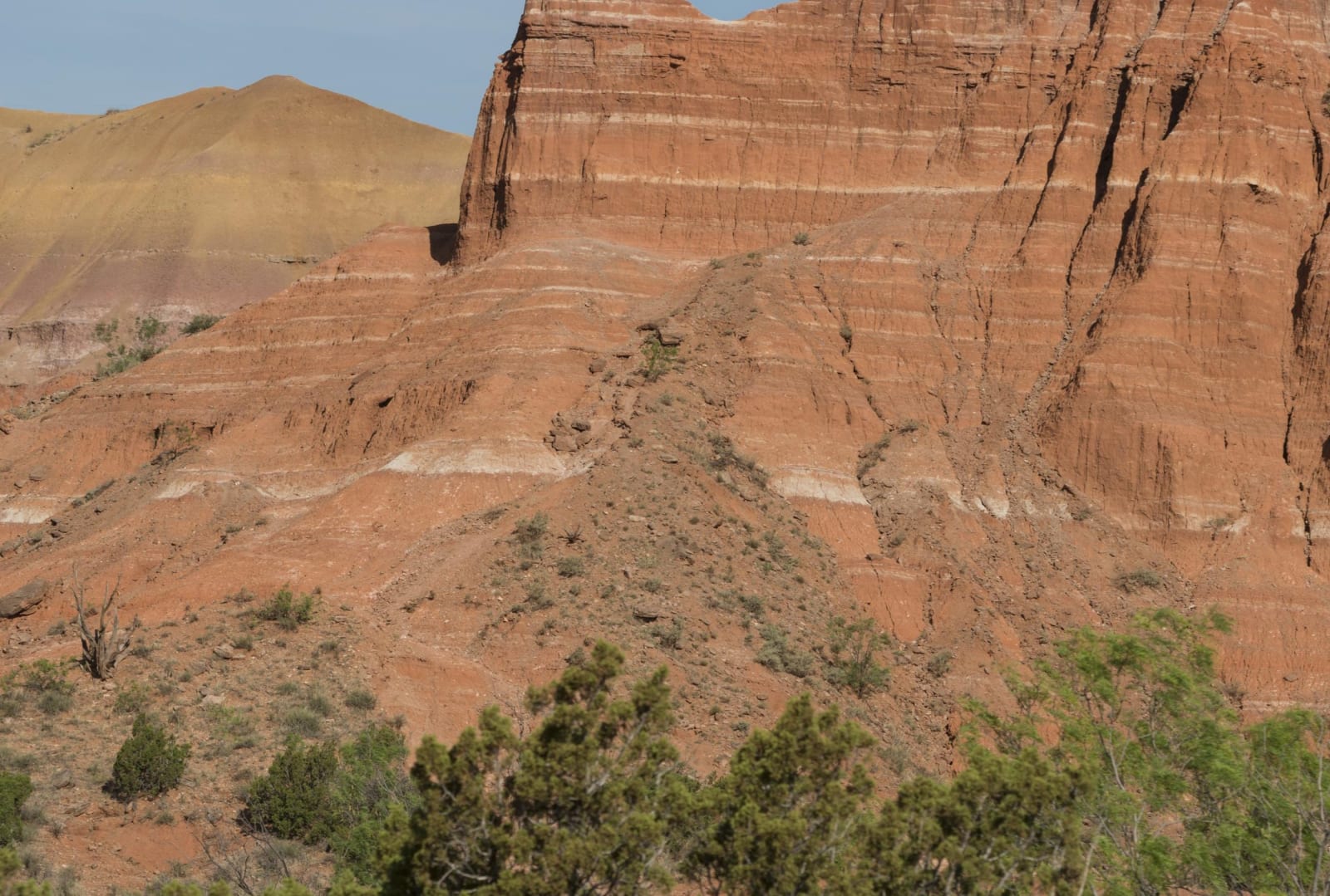 Banded red and white cliffs below Capitol Peak in Palo Duro Canyon, a narrow hoodoo on the ridge and juniper on the slope below.