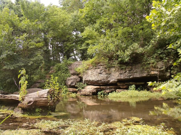 Carter Spring at the Battle of Carthage site, a quiet pool below ledges of rock and thick summer trees.