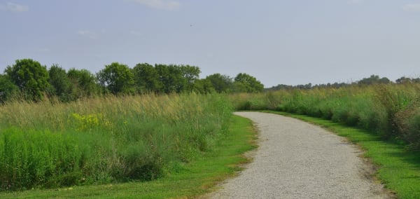 A gravel walking trail curving through tall prairie grass at the Battle of Island Mound State Historic Site.